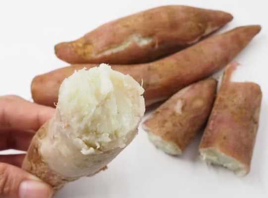红薯哪里好(红薯哪里好吃)-第2张图片-厨房小当家 红薯哪里好(红薯哪里好吃)-第2张图片-厨房小当家