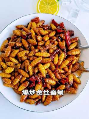 蚕蛹哪里不能吃(蚕蛹哪里不能吃图解)-第2张图片-厨房小当家 蚕蛹哪里不能吃(蚕蛹哪里不能吃图解)-第2张图片-厨房小当家