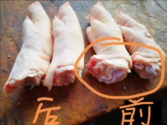 猪蹄哪里买(猪蹄哪里买便宜)-第3张图片-厨房小当家 猪蹄哪里买(猪蹄哪里买便宜)-第3张图片-厨房小当家