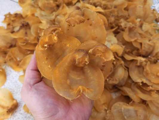 哪里有卖花胶(西安哪里可以买到花胶)-第1张图片-厨房小当家 哪里有卖花胶(西安哪里可以买到花胶)-第1张图片-厨房小当家