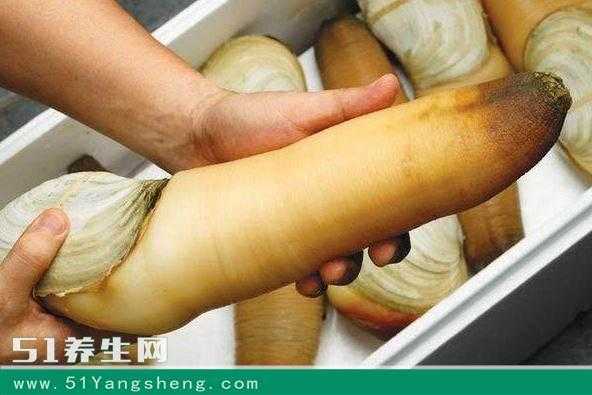象拔蚌哪里不能吃(象拔蚌哪里不能吃视频)-第3张图片-厨房小当家 象拔蚌哪里不能吃(象拔蚌哪里不能吃视频)-第3张图片-厨房小当家