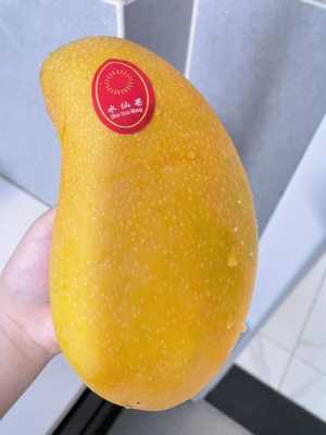 芒果哪里的好吃,芒果哪里好吃哪里便宜-第3张图片-厨房小当家 芒果哪里的好吃,芒果哪里好吃哪里便宜-第3张图片-厨房小当家