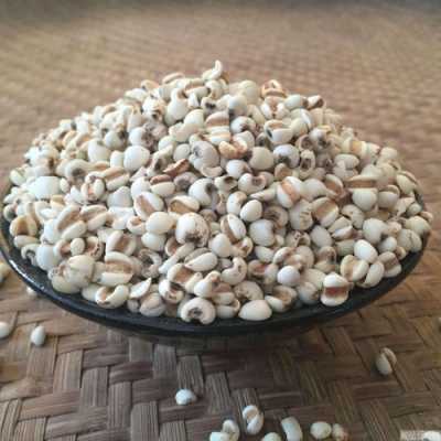 什么产地的薏米最好,薏米产地中国哪里最好-第3张图片-厨房小当家 什么产地的薏米最好,薏米产地中国哪里最好-第3张图片-厨房小当家