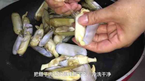 蛏子内脏在哪里(蛏子哪些部位不能吃)-第2张图片-厨房小当家 蛏子内脏在哪里(蛏子哪些部位不能吃)-第2张图片-厨房小当家