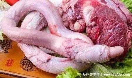 牛鞭是牛的哪里,牛鞭是牛的哪里图片-第2张图片-厨房小当家 牛鞭是牛的哪里,牛鞭是牛的哪里图片-第2张图片-厨房小当家