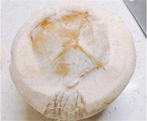椰子哪里的好(椰子哪里可以食用)-第2张图片-厨房小当家 椰子哪里的好(椰子哪里可以食用)-第2张图片-厨房小当家