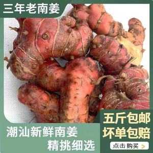 南姜哪里有卖(南姜市场有卖吗)-第2张图片-厨房小当家 南姜哪里有卖(南姜市场有卖吗)-第2张图片-厨房小当家