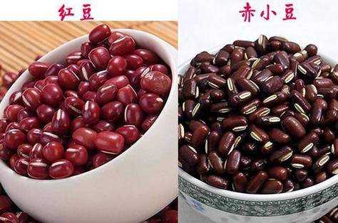 红豆哪里最好（红豆哪里最好吃）-第1张图片-厨房小当家