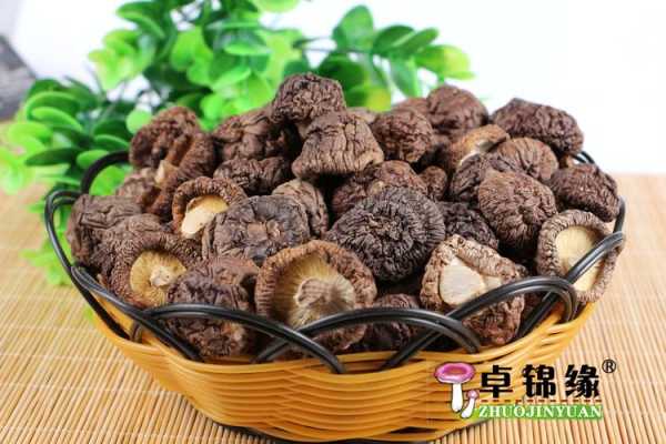 小香菇哪里产的好最香,哪里香菇好吃-第2张图片-厨房小当家 小香菇哪里产的好最香,哪里香菇好吃-第2张图片-厨房小当家