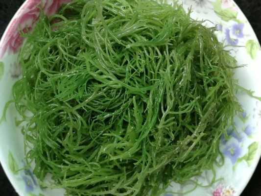 哪里的海藻好（哪里的海藻好吃）-第2张图片-厨房小当家