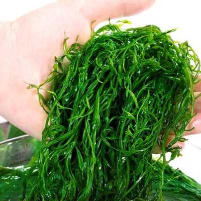 哪里的海藻好（哪里的海藻好吃）-第3张图片-厨房小当家