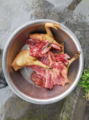 安徽狗肉哪个地方好吃,狗肉哪里好吃-第3张图片-厨房小当家 安徽狗肉哪个地方好吃,狗肉哪里好吃-第3张图片-厨房小当家
