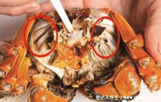 螃蟹都哪里能吃(古巴地蟹能吃吗)-第2张图片-厨房小当家 螃蟹都哪里能吃(古巴地蟹能吃吗)-第2张图片-厨房小当家