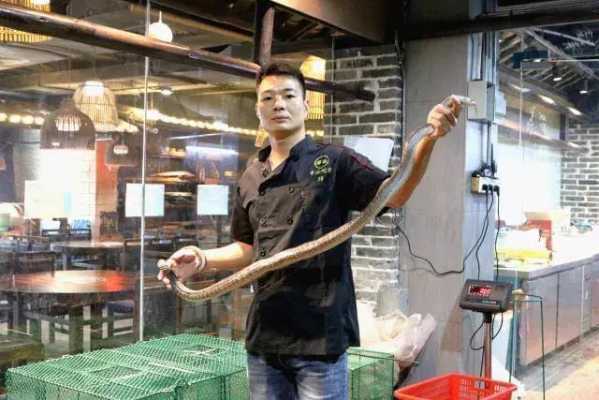 广州哪里吃蛇(广州哪里吃蛇最地道)-第2张图片-厨房小当家 广州哪里吃蛇(广州哪里吃蛇最地道)-第2张图片-厨房小当家