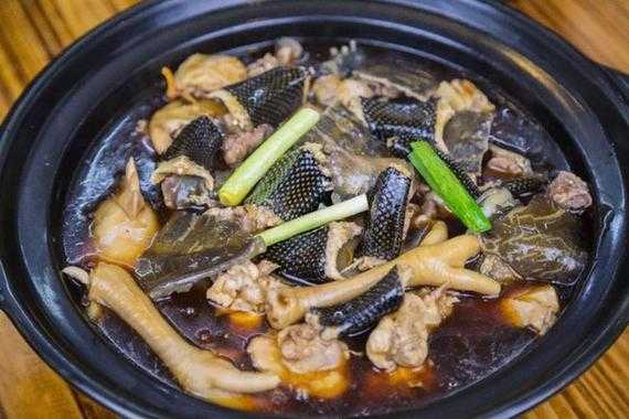 广州哪里吃蛇(广州哪里吃蛇最地道)-第3张图片-厨房小当家 广州哪里吃蛇(广州哪里吃蛇最地道)-第3张图片-厨房小当家