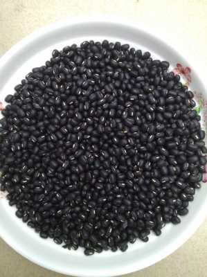 黑豆哪里好(黑豆地是哪里话)-第2张图片-厨房小当家 黑豆哪里好(黑豆地是哪里话)-第2张图片-厨房小当家