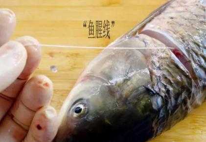 鱼有几根腥线,鲤鱼的腥线在哪里图片-第2张图片-厨房小当家
