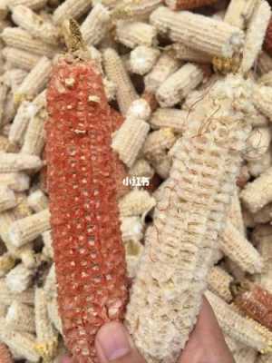 哪里要玉米(哪里要玉米芯)-第3张图片-厨房小当家 哪里要玉米(哪里要玉米芯)-第3张图片-厨房小当家