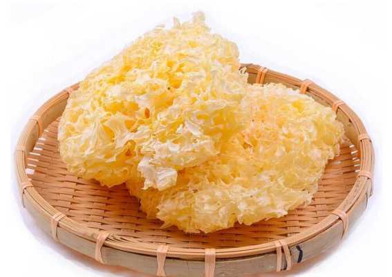 哪里的银耳最好,哪里银耳最好最正宗-第1张图片-厨房小当家 哪里的银耳最好,哪里银耳最好最正宗-第1张图片-厨房小当家