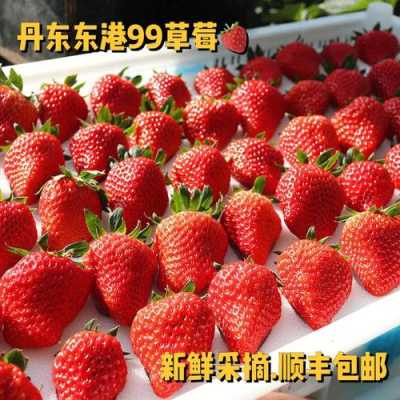 哪里草莓好吃(丹东草莓和成都草莓有什么区别?哪个好)-第1张图片-厨房小当家 哪里草莓好吃(丹东草莓和成都草莓有什么区别?哪个好)-第1张图片-厨房小当家