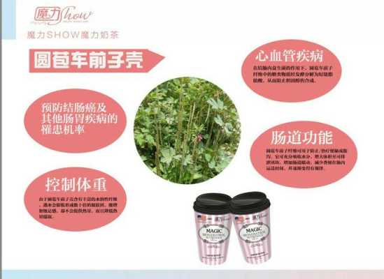 魔力奶茶怎么样(有一个奶茶叫白藜芦醇魔力奶茶,据说美白瘦身效果很好,半个娱乐圈明星都在喝,真的假的)-第3张图片-厨房小当家 魔力奶茶怎么样(有一个奶茶叫白藜芦醇魔力奶茶,据说美白瘦身效果很好,半个娱乐圈明星都在喝,真的假的)-第3张图片-厨房小当家