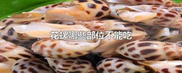 花螺哪里不能吃图解(花螺不能和什么一起吃花螺哪个部位不能吃)-第3张图片-厨房小当家 花螺哪里不能吃图解(花螺不能和什么一起吃花螺哪个部位不能吃)-第3张图片-厨房小当家