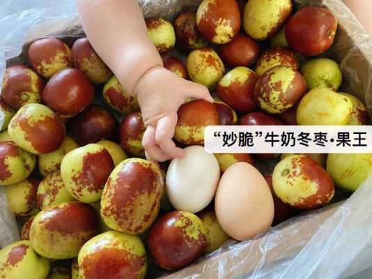 哪里冬枣好吃(哪里冬枣好吃又甜)-第3张图片-厨房小当家 哪里冬枣好吃(哪里冬枣好吃又甜)-第3张图片-厨房小当家