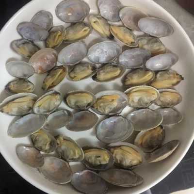 为什么不开口的花甲不能吃,花甲哪里不能吃图解视频-第2张图片-厨房小当家 为什么不开口的花甲不能吃,花甲哪里不能吃图解视频-第2张图片-厨房小当家