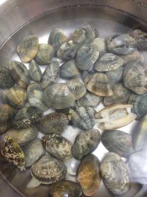 为什么不开口的花甲不能吃,花甲哪里不能吃图解视频-第1张图片-厨房小当家 为什么不开口的花甲不能吃,花甲哪里不能吃图解视频-第1张图片-厨房小当家