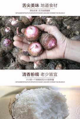 红芽小芋头哪个产地最好,芋头哪里好吃-第2张图片-厨房小当家
