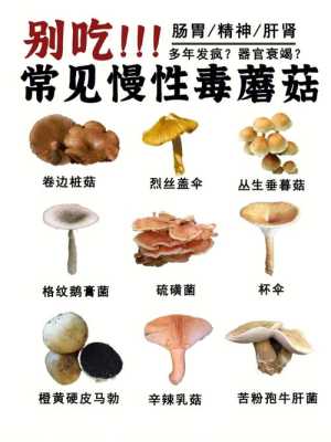 蘑菇吃哪里(蘑菇吃哪个部位)-第2张图片-厨房小当家 蘑菇吃哪里(蘑菇吃哪个部位)-第2张图片-厨房小当家