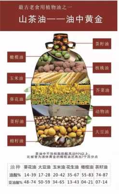 茶油哪里好(茶油产地哪里最多)-第2张图片-厨房小当家 茶油哪里好(茶油产地哪里最多)-第2张图片-厨房小当家