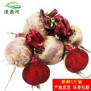 甜菜根哪里买(甜菜根又叫什么)-第3张图片-厨房小当家 甜菜根哪里买(甜菜根又叫什么)-第3张图片-厨房小当家