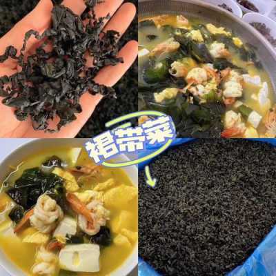 哪里有裙带菜(哪里有裙带菜买)-第3张图片-厨房小当家 哪里有裙带菜(哪里有裙带菜买)-第3张图片-厨房小当家