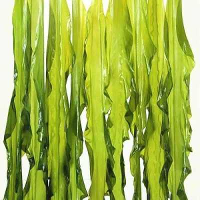 哪里有裙带菜(哪里有裙带菜买)-第2张图片-厨房小当家 哪里有裙带菜(哪里有裙带菜买)-第2张图片-厨房小当家