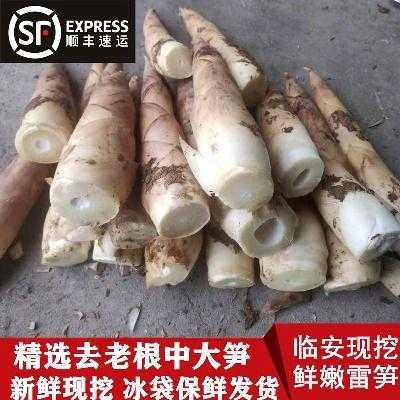 冬笋哪里有卖(冬雷竹笋有卖吗)-第3张图片-厨房小当家 冬笋哪里有卖(冬雷竹笋有卖吗)-第3张图片-厨房小当家