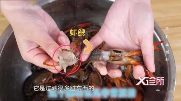 小龙虾虾黄在什么位置,小龙虾的黄在哪-第1张图片-厨房小当家 小龙虾虾黄在什么位置,小龙虾的黄在哪-第1张图片-厨房小当家
