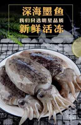 墨鱼什么地方产的好,墨鱼哪里的好吃-第1张图片-厨房小当家 墨鱼什么地方产的好,墨鱼哪里的好吃-第1张图片-厨房小当家