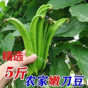刀豆哪里有卖(宁乡特产刀豆花哪里有卖)-第2张图片-厨房小当家 刀豆哪里有卖(宁乡特产刀豆花哪里有卖)-第2张图片-厨房小当家