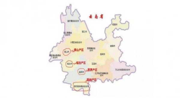 哪里产普洱茶(普洱茶位于哪个省)-第3张图片-厨房小当家 哪里产普洱茶(普洱茶位于哪个省)-第3张图片-厨房小当家