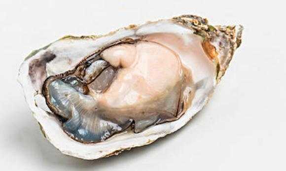 海蛎子有不吃的地方吗,海蛎子哪里不能吃图解视频-第1张图片-厨房小当家 海蛎子有不吃的地方吗,海蛎子哪里不能吃图解视频-第1张图片-厨房小当家