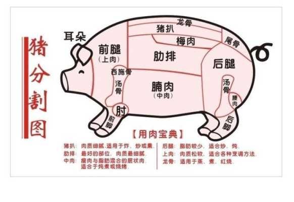 哪里需要猪肉（哪里需要猪肉比较多）-第2张图片-厨房小当家