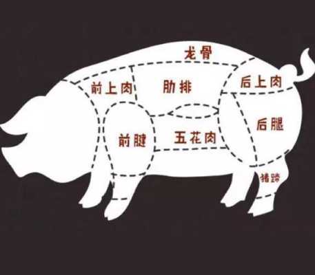 哪里需要猪肉（哪里需要猪肉比较多）-第3张图片-厨房小当家
