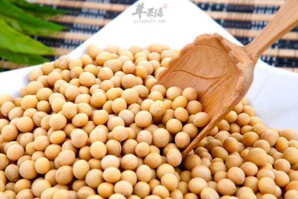 哪里大豆好(哪里大豆最好)-第1张图片-厨房小当家 哪里大豆好(哪里大豆最好)-第1张图片-厨房小当家