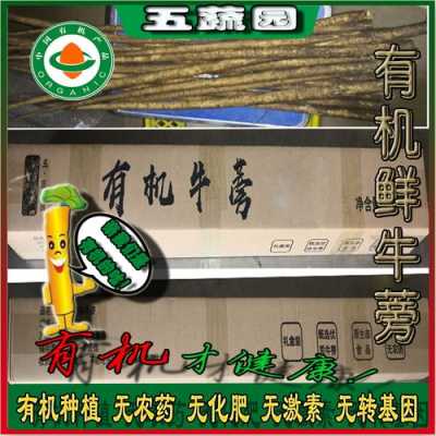 牛蒡哪里的好(牛蒡子产地是哪里最好)-第3张图片-厨房小当家 牛蒡哪里的好(牛蒡子产地是哪里最好)-第3张图片-厨房小当家
