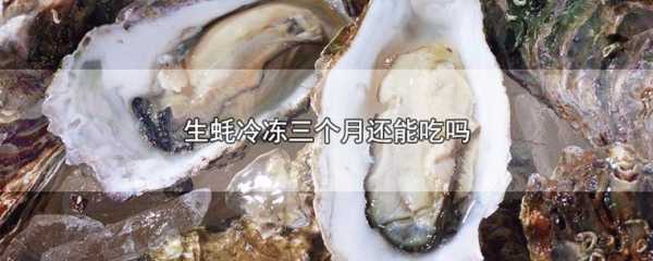 牡蛎哪里不能吃图解(牡蛎的什么部分不能吃)-第3张图片-厨房小当家 牡蛎哪里不能吃图解(牡蛎的什么部分不能吃)-第3张图片-厨房小当家