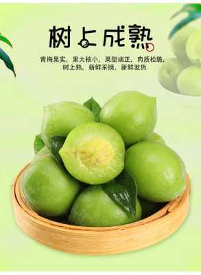 哪里的青梅品种最好,青梅哪里最好吃-第1张图片-厨房小当家 哪里的青梅品种最好,青梅哪里最好吃-第1张图片-厨房小当家