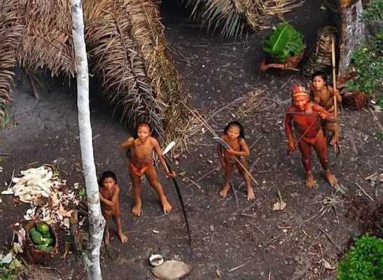 原始野人部落有多少人,野人部落怎么样好打吗-第1张图片-厨房小当家 原始野人部落有多少人,野人部落怎么样好打吗-第1张图片-厨房小当家