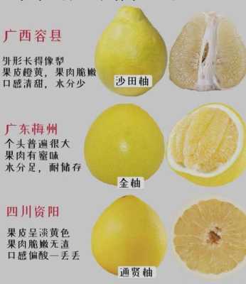 柚子哪里的好（柚子四大产地是哪里）-第1张图片-厨房小当家