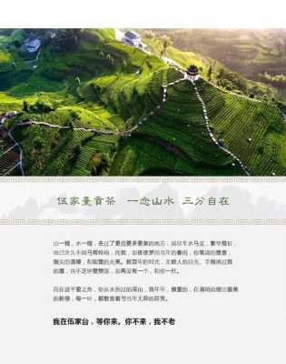伍家台贡茶属于什么档次,宫廷贡茶怎么样好喝吗-第3张图片-厨房小当家 伍家台贡茶属于什么档次,宫廷贡茶怎么样好喝吗-第3张图片-厨房小当家